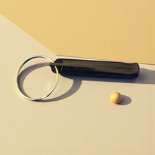 Load image into Gallery viewer, Whistle
